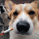 椒盐虾