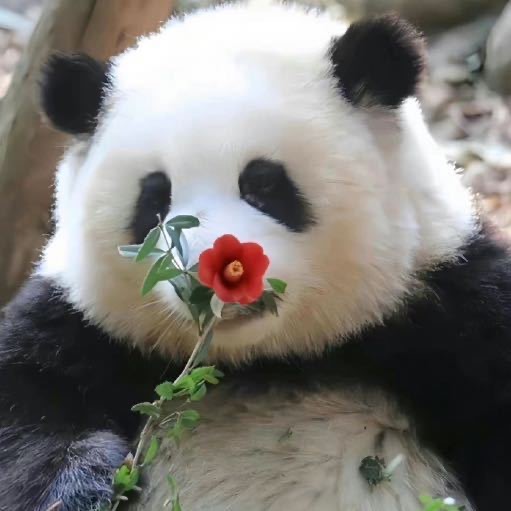 南疆
